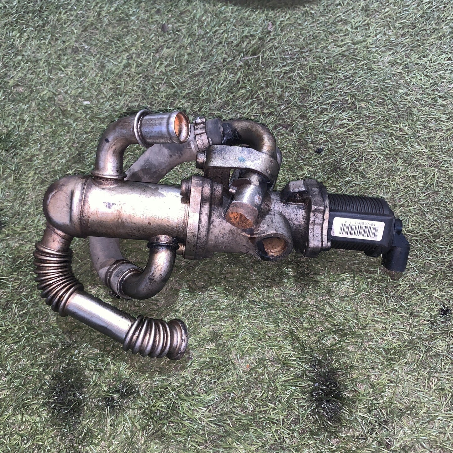 55219498 VALVOLA EGR BY PASS LANCIA MUSA 1.3