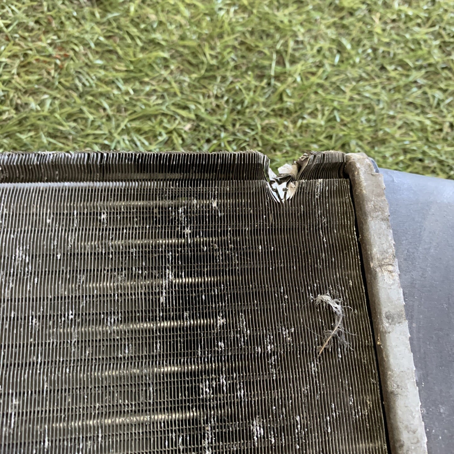 1K0121253AA RADIATORE ACQUA VOLKSWAGEN GOLF V (1K1) 1.9 TDI 8V 105CV (2003>2008)