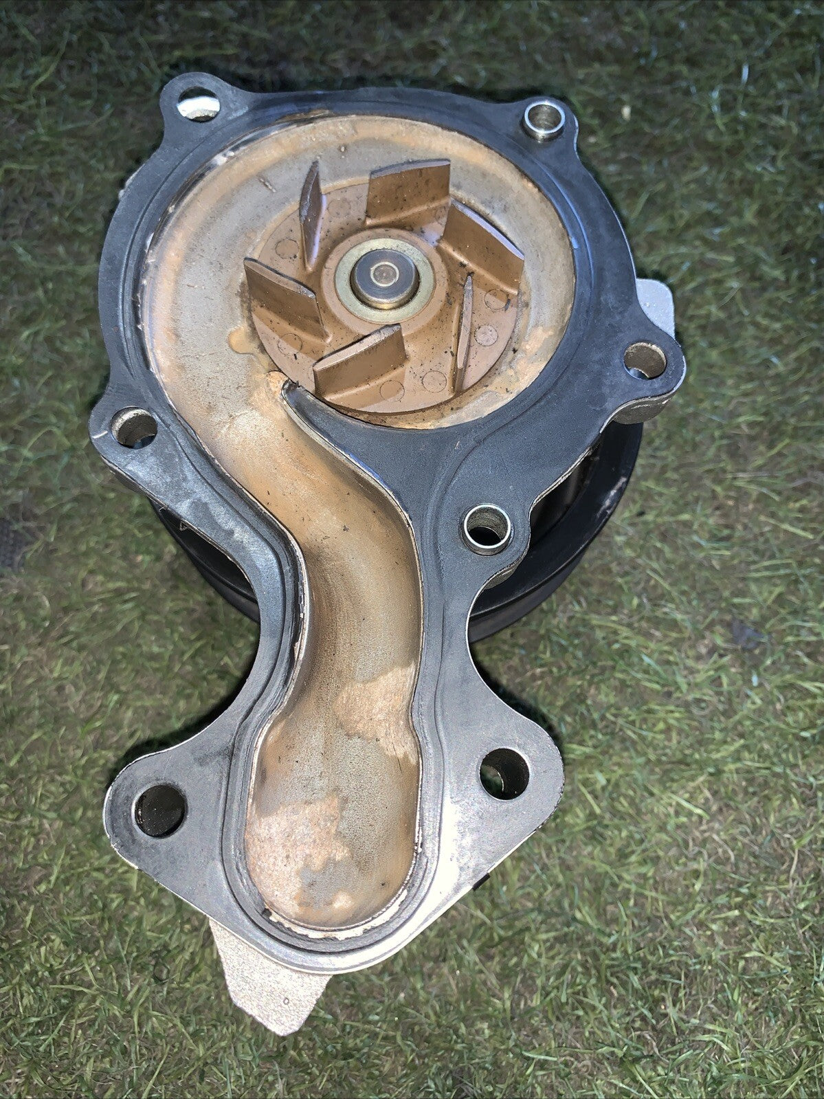 Pompa Acqua Ford Ecosport 1.0 Benzina CM5G-8501-FB