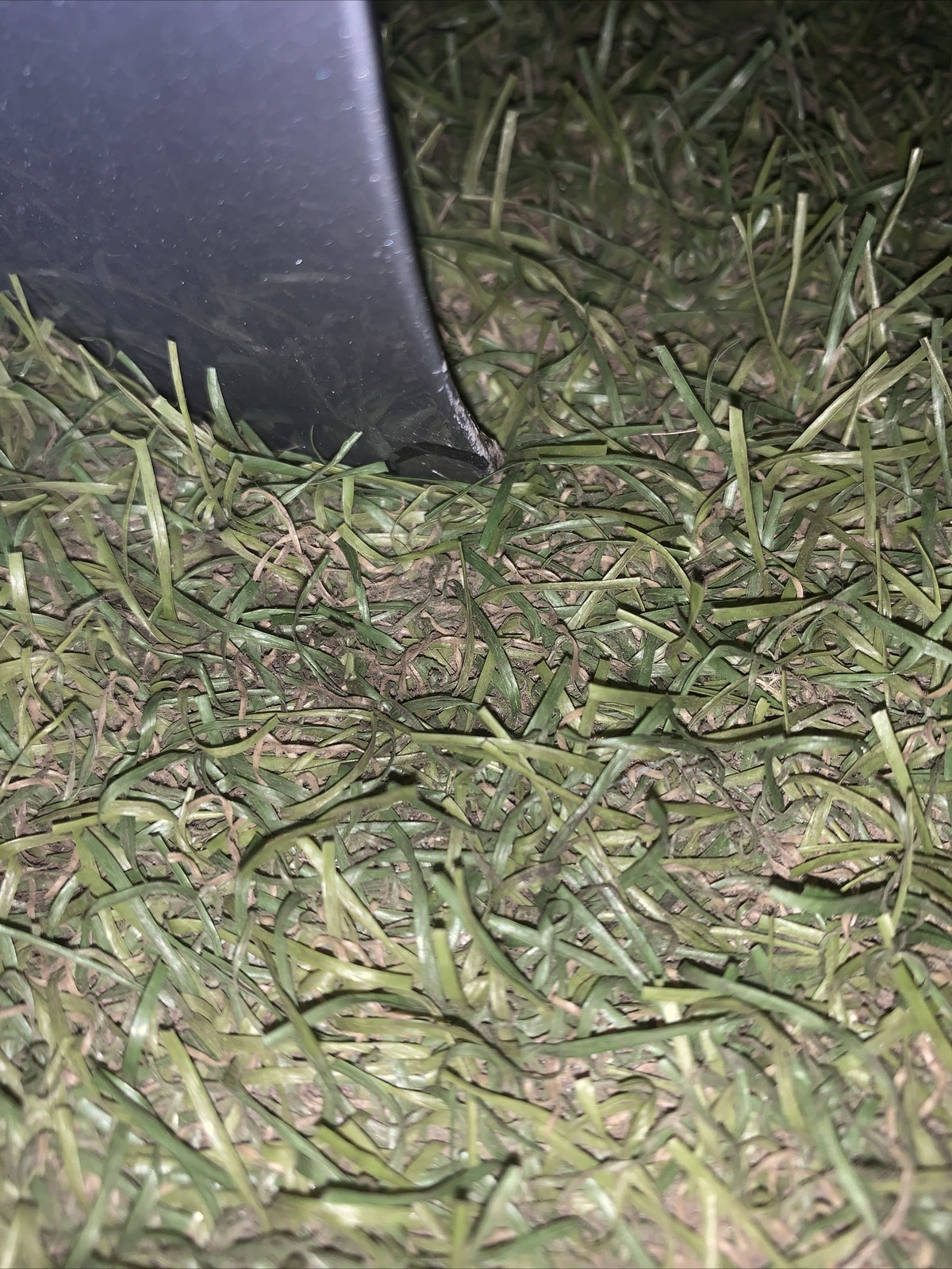 SPORTELLO PORTA PORTIERA ANTERIORE SINISTRA CITROEN C3 DAL 2017 IN POI