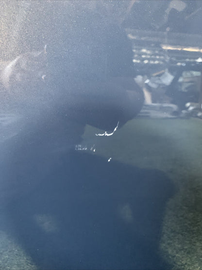 Porta Portiera Sportello Anteriore Destro Alfa Romeo Giulia 