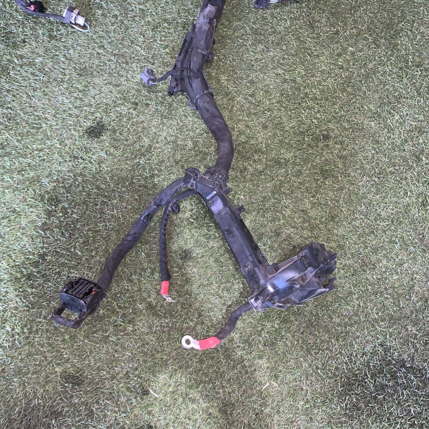 Cablaggio Motore Ford Fiesta 2019 Mk7 1.1 Benzina 85 Cv H1BT-12C508-CBB