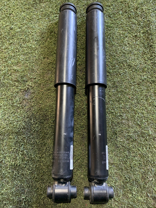 Ammortizzatori Posteriori Peugeot 3008 2020 9824958980