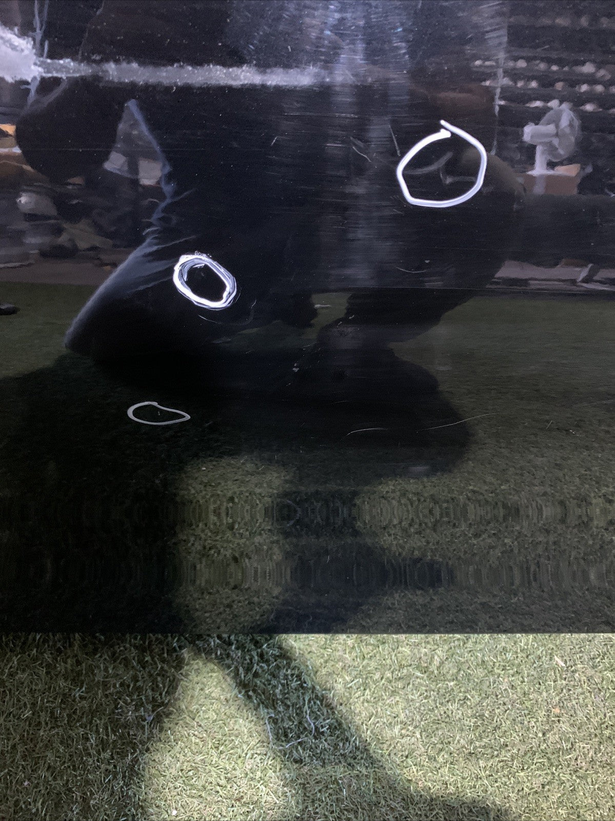 PORTIERA PORTA SPORTELLO  ANTERIORE SINISTRA SX BMW SERIE 3 G20 G21 BERLINA