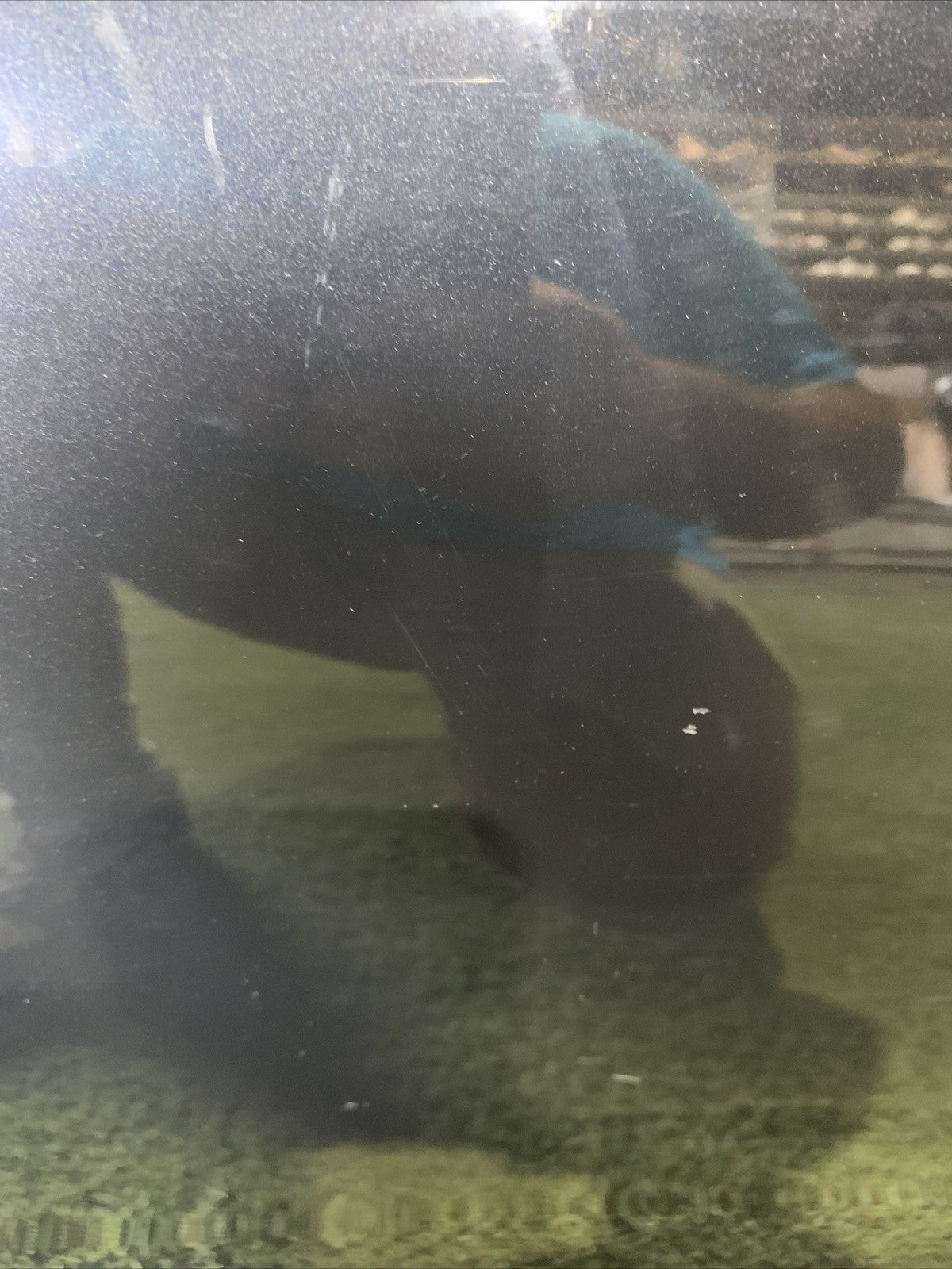 Porta Portiera Sportello Anteriore Sinistro Kia Ceed 2012-2018