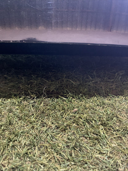 COFANO BAULE PORTELLONE CON TELECAMERA POSTERIORE VOLKSWAGEN T-ROC 2024