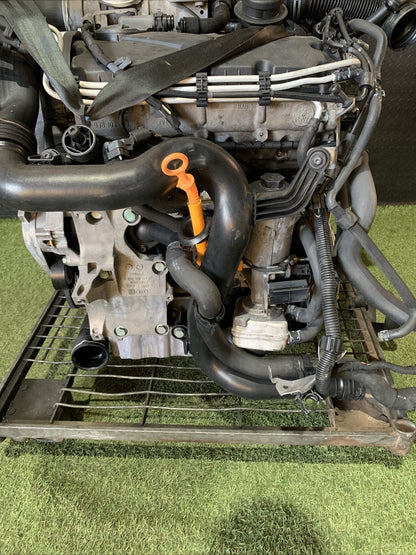 MOTORE COMPLETO PER VOLKSWAGEN Golf 5 Berlina BKC Diesel 1.9 (03 08) (2)