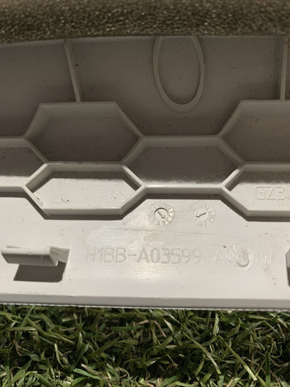 Rivestimento Montante Sinistro Ford Fiesta 2019 H1BB-A03599-A