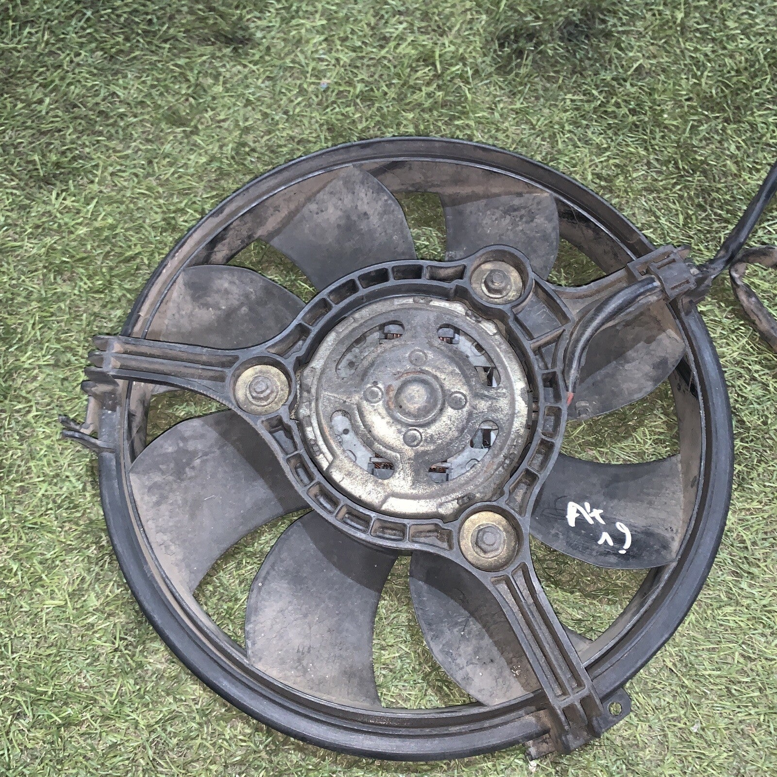 8D0959455R ELETTROVENTOLA AUDÌ A4 1.9 (2004)