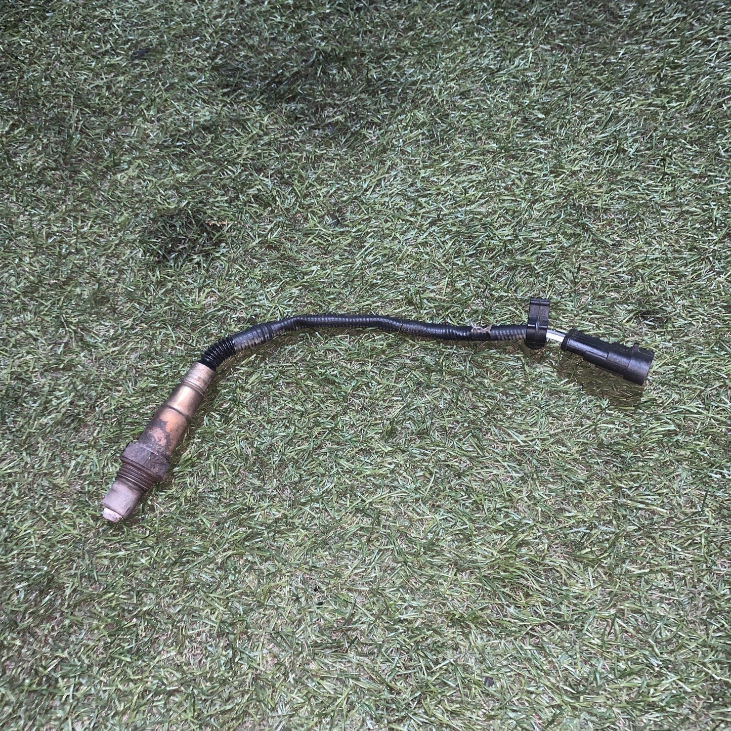 0258006206 SONDA LAMBDA FIAT PUNTO 1.2 B 5P 5M 44KW (2006) 4