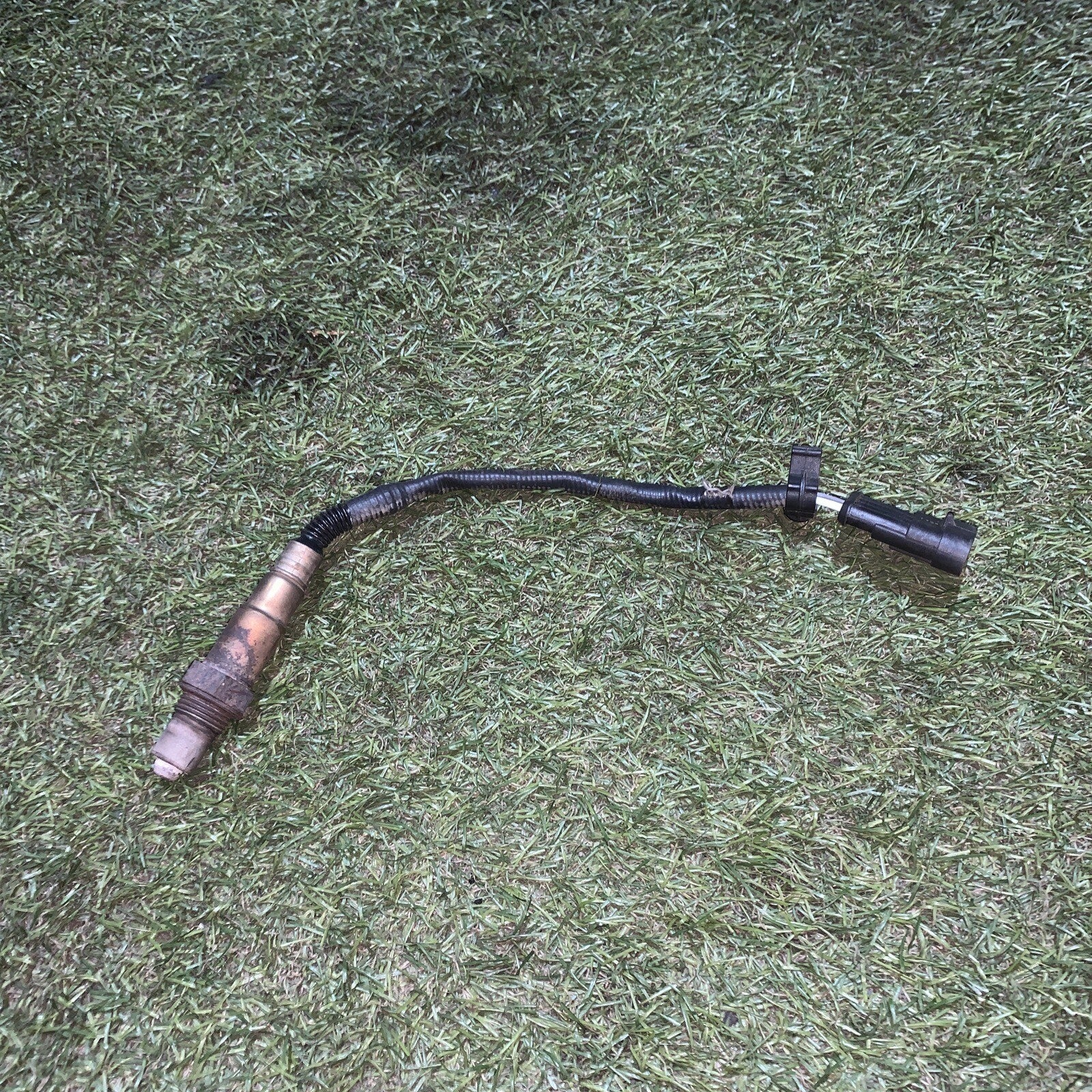 0258006206 SONDA LAMBDA FIAT PUNTO 1.2 B 5P 5M 44KW (2006) 4