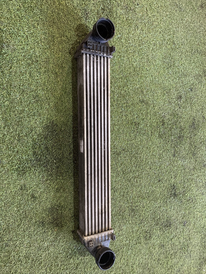 A1695000000 RADIATORE INTERCOOLER MERCEDES-BENZ CLASSE A (W169)