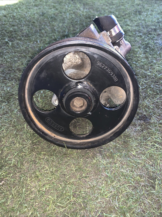 Pompa Idroguida Peugeot 406 2.0 Diesel 9633817580