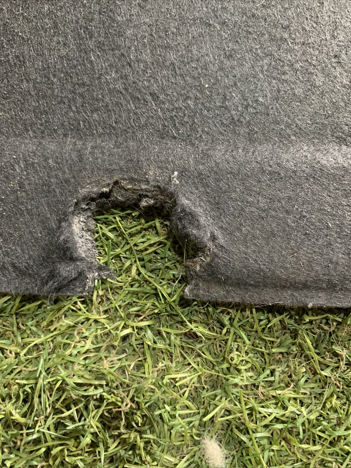 Carter Riparo Sotto Motore Alfa Romeo Stelvio