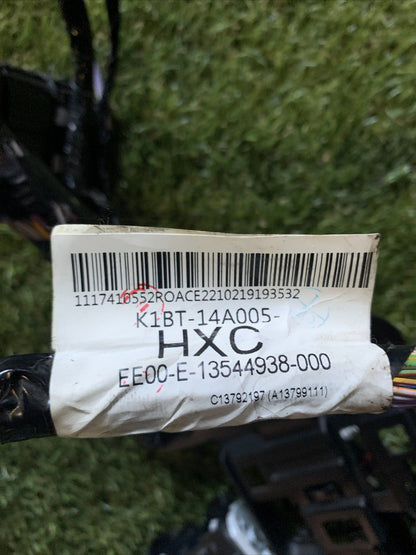 Cablaggio Completo Abitacolo Ford Fiesta MK8 (2018-2021) K1BT14A005HXC