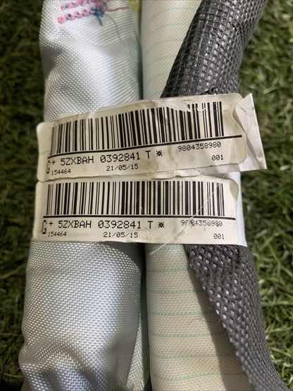 Airbag a Tendina laterale sinistro Citroen C4 Cactus 9804358980 (2014-2020) (2)