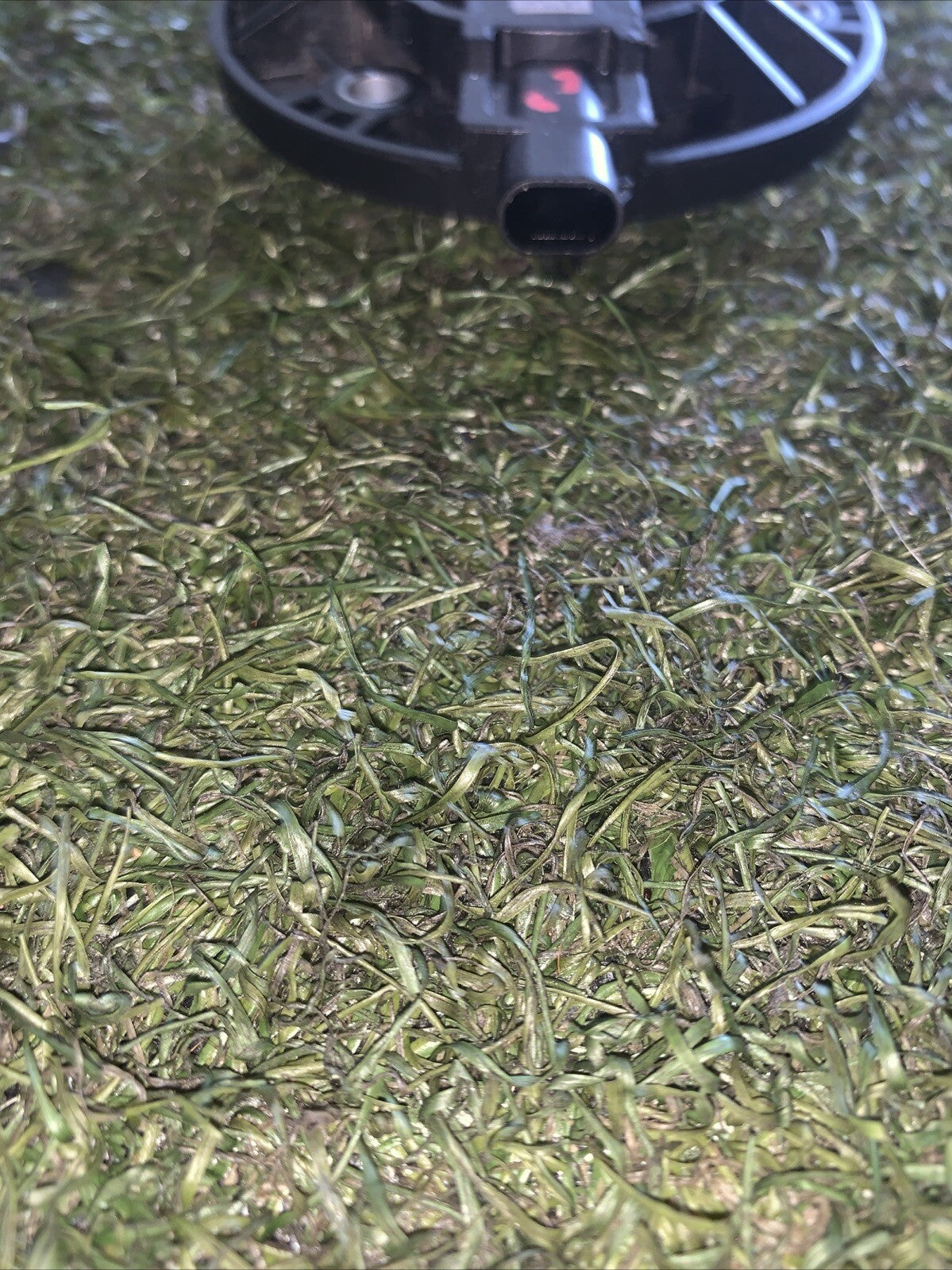 Magnete Centrale Regolazione Albero A Camme Volkswagen Tiguan 2023 2.0 Benzina 