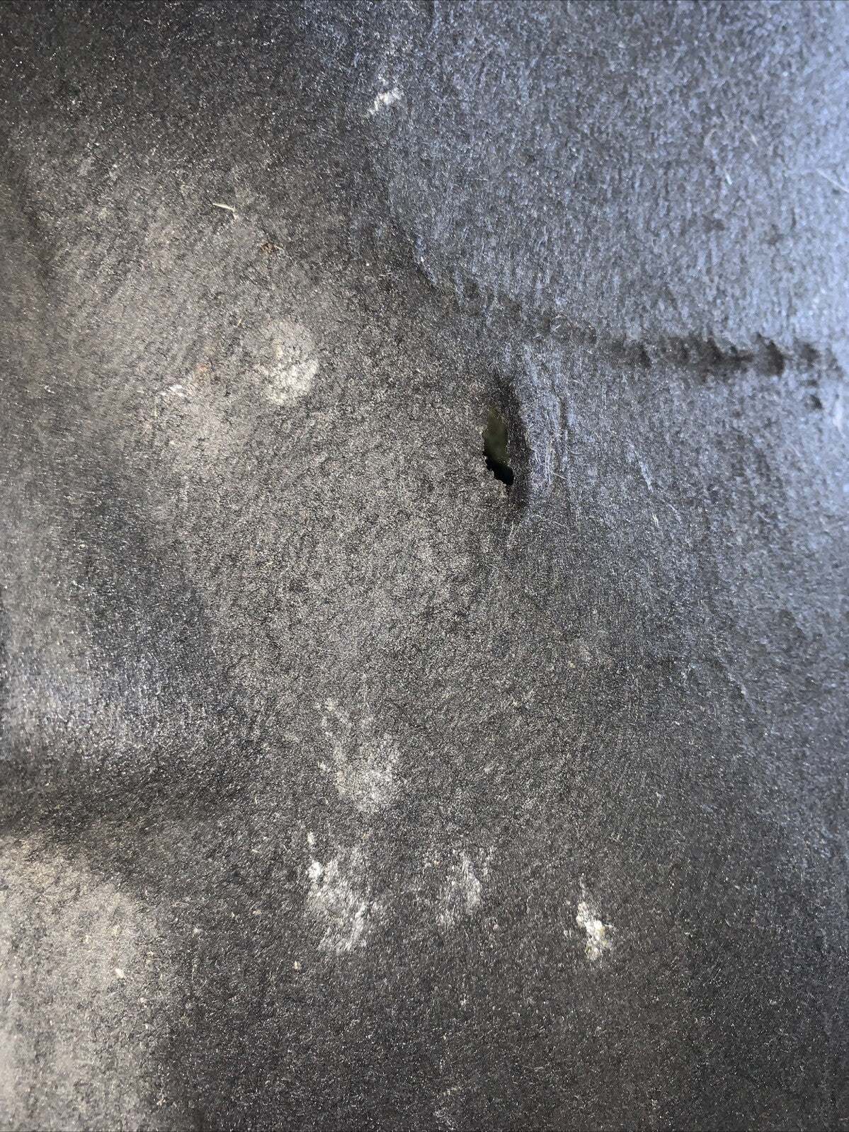 Sotto Piano Motore Sotto Scocca Destra Ford Ecosport 2020 LN1B-11132-AB