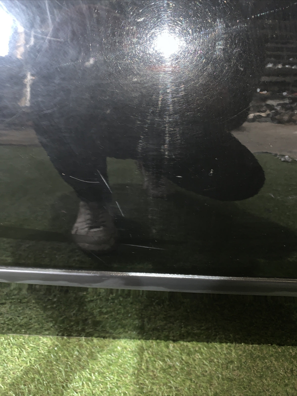 PORTA PORTIERA SPORTELLO ANTERIORE SINISTRO SX FIAT PUNTO 188