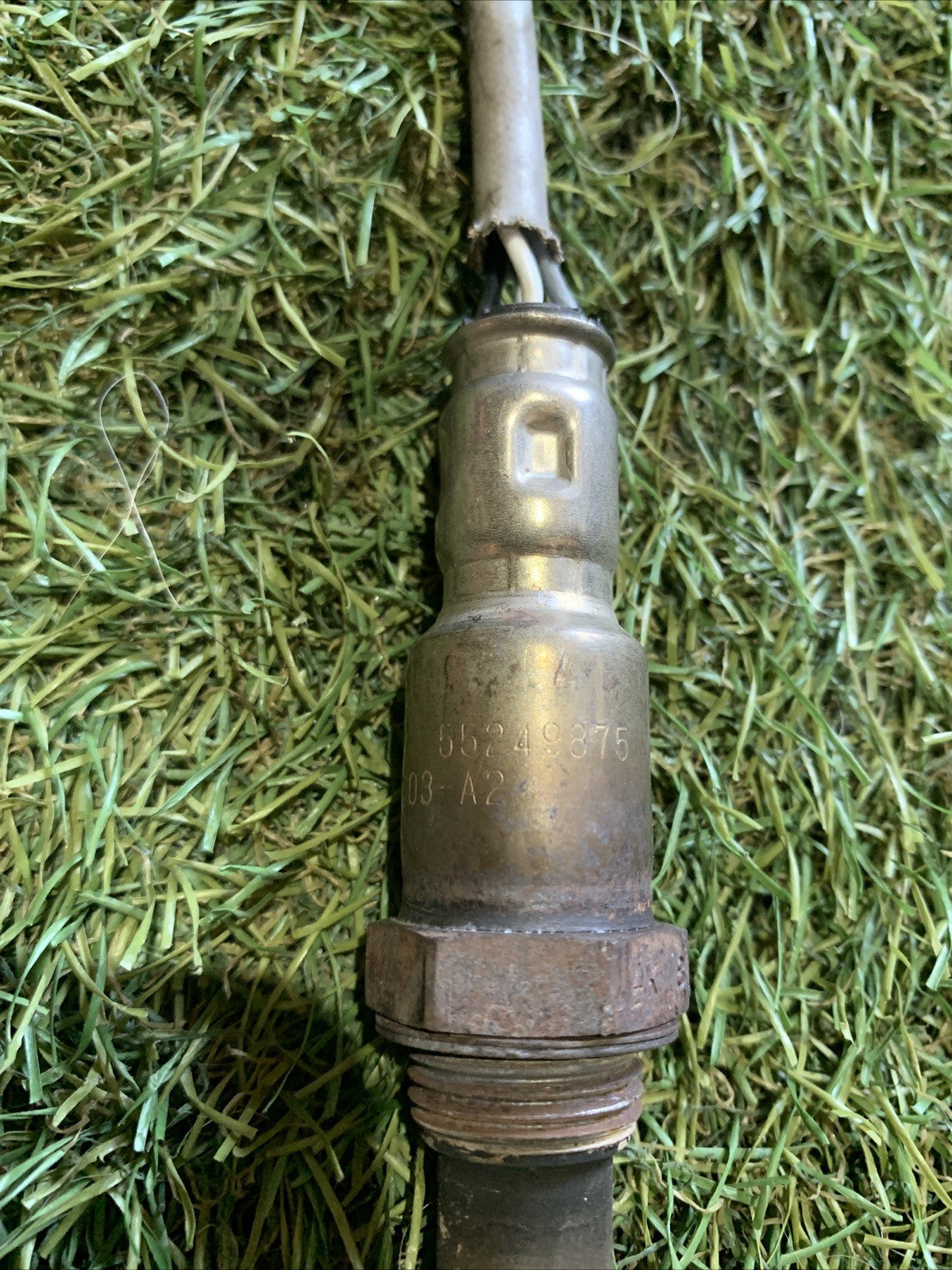 Sonda Lambda Fiat Panda 3 Serie 1.2 Benzina 55249875