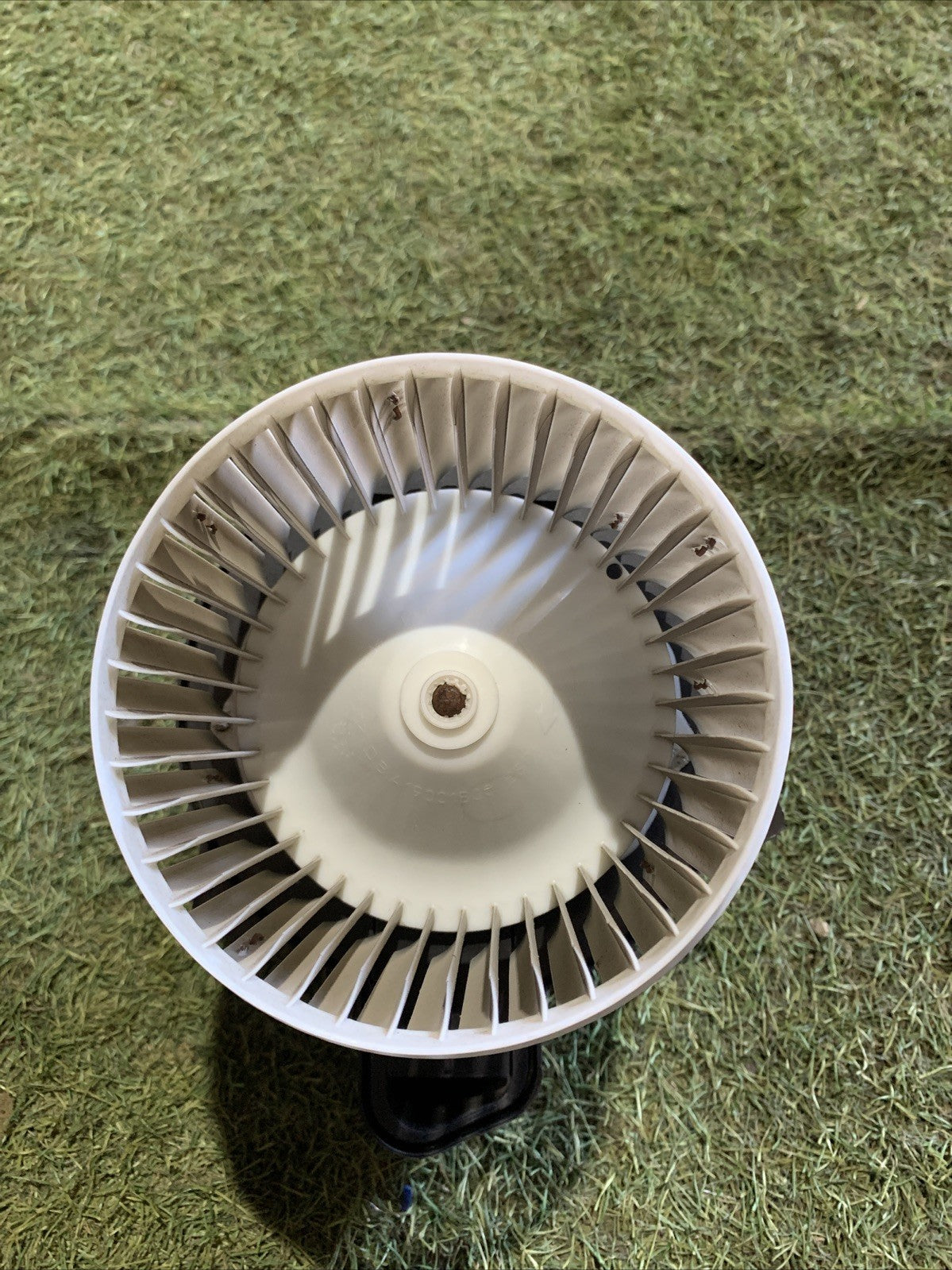 Ventola Abitacolo Fiat Pandina 5P6220300