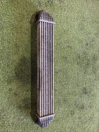 A1695000000 RADIATORE INTERCOOLER MERCEDES-BENZ CLASSE A (W169)