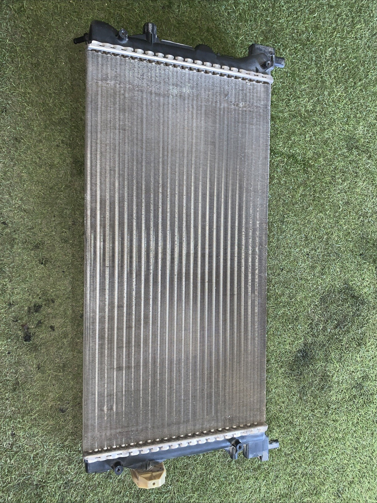 Radiatore Acqua Skoda Fabia-Polo 6R 1.6 6R01212530