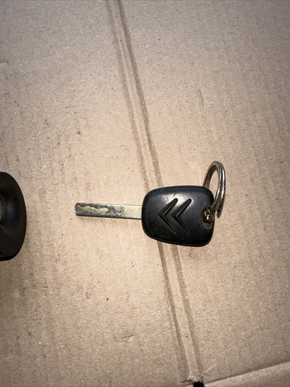 Blocchetto chiave avviamento Citroen Cod N0502455