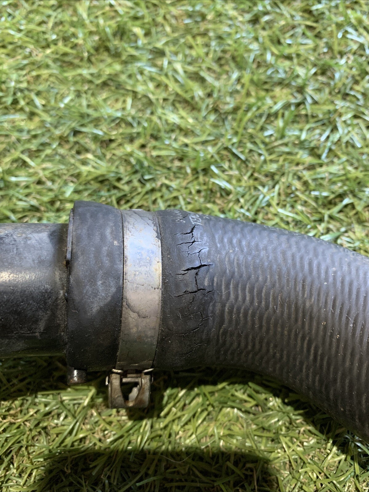 Manicotto Intercooler Fiat Panda 169 1.3 MJT 51856117