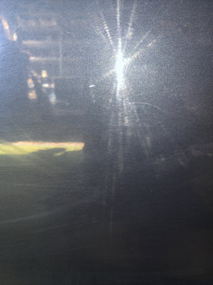 Sportello Porta Portiera Posteriore Destra Dacia Lodgy Originale