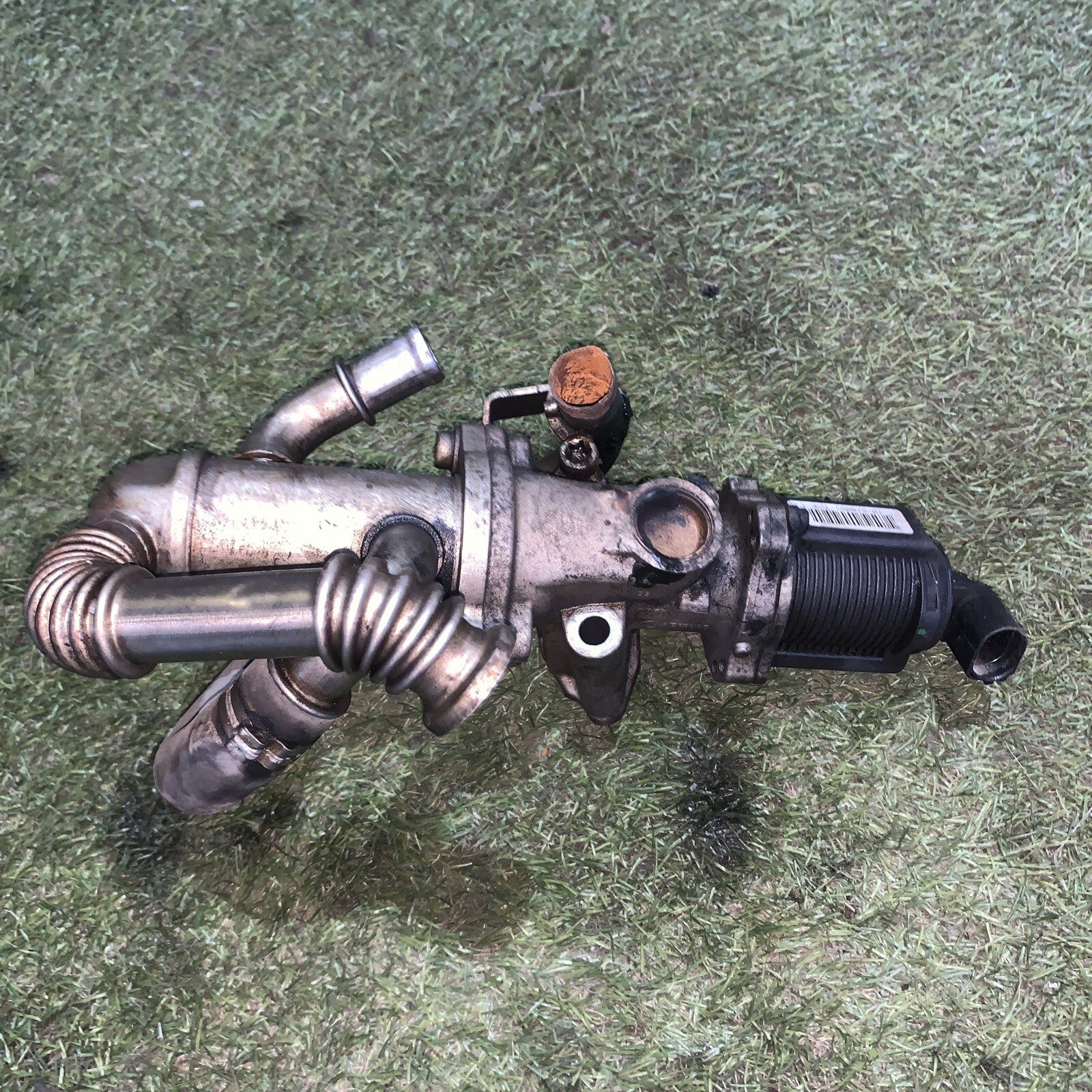 55219498 VALVOLA EGR BY PASS LANCIA MUSA 1.3