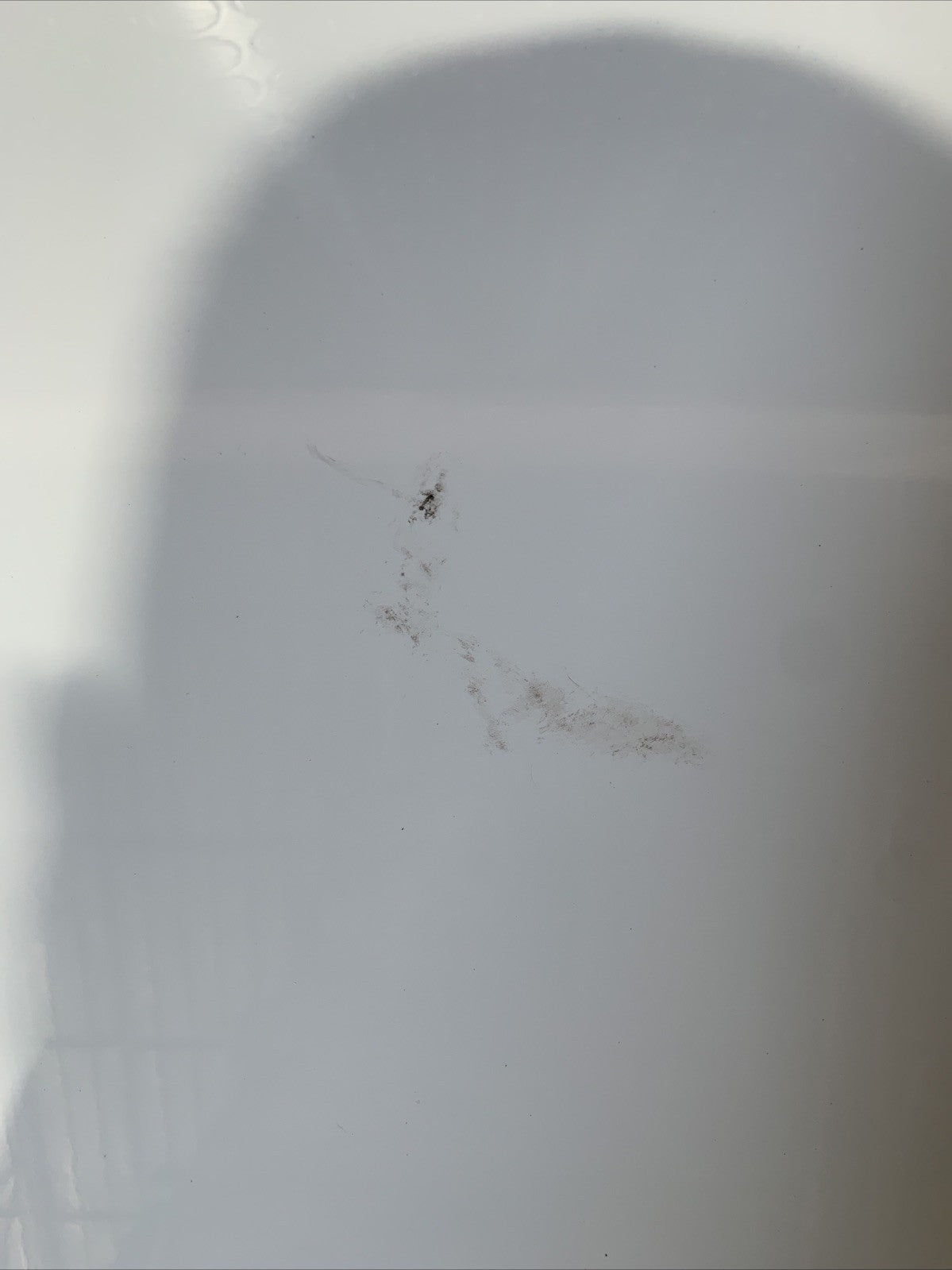 Portellone Bagagliaio Cofano Baule Posteriore BMW Serie 1 F40 5P 2019 BIANCO