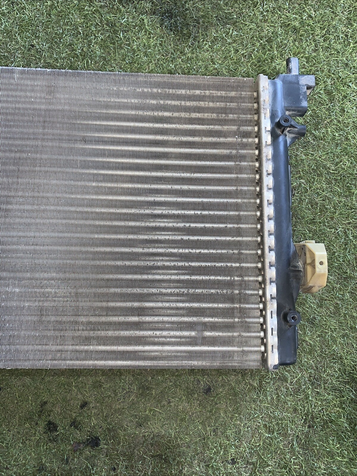 Radiatore Acqua Skoda Fabia-Polo 6R 1.6 6R01212530