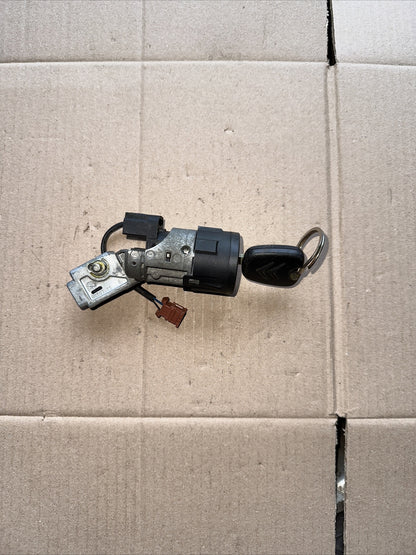 Blocchetto chiave avviamento Citroen Cod N0502455