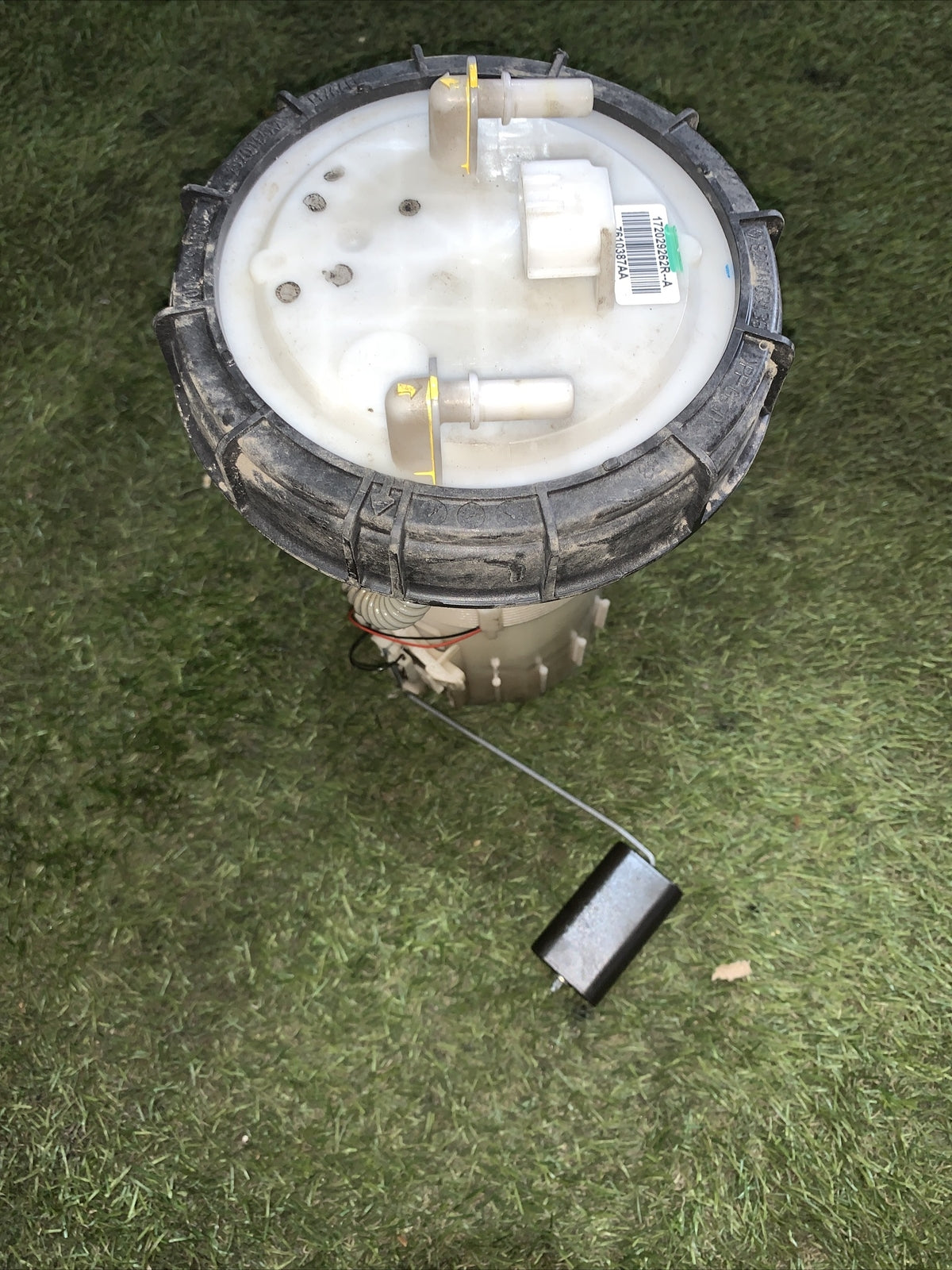 Pompetta Carburante Dacia Lodgy 1.5 172029262R