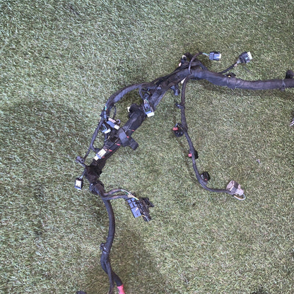 Cablaggio Motore Ford Fiesta 2019 Mk7 1.1 Benzina 85 Cv H1BT-12C508-CBB