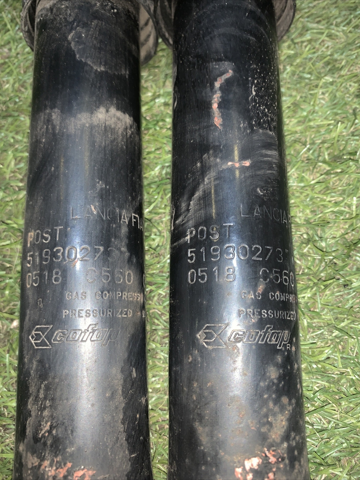 AMMORTIZZATORI POST FIAT PANDA III Serie 51930273