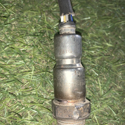 SONDA LAMBDA FIAT Punto EVO 55210334 Diesel 1300 (0912) 1632490