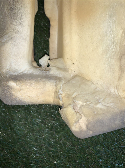 Moquette Anteriore Sinistra Audi Q7 2016 4M1863103B