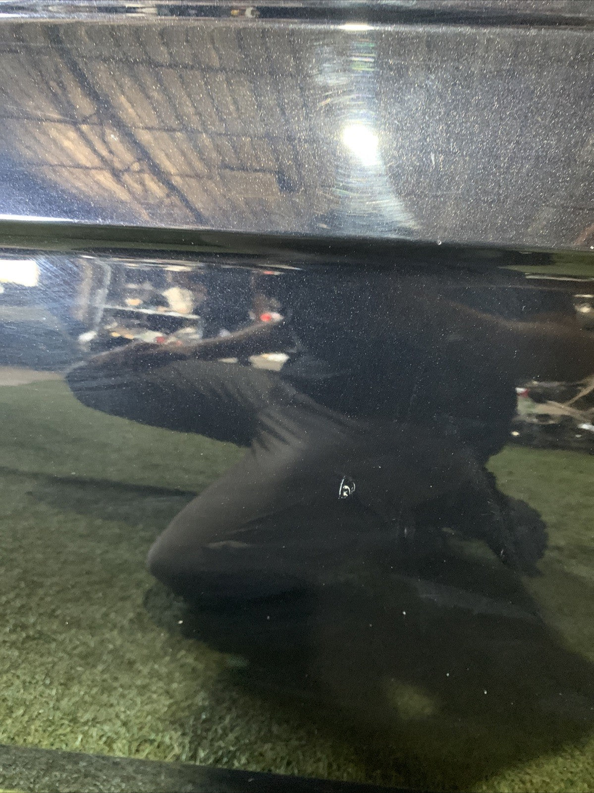 PORTA PORTIERA SPORTELLO ANTERIORE SINISTRA VOLKSWAGEN POLO DAL 2017