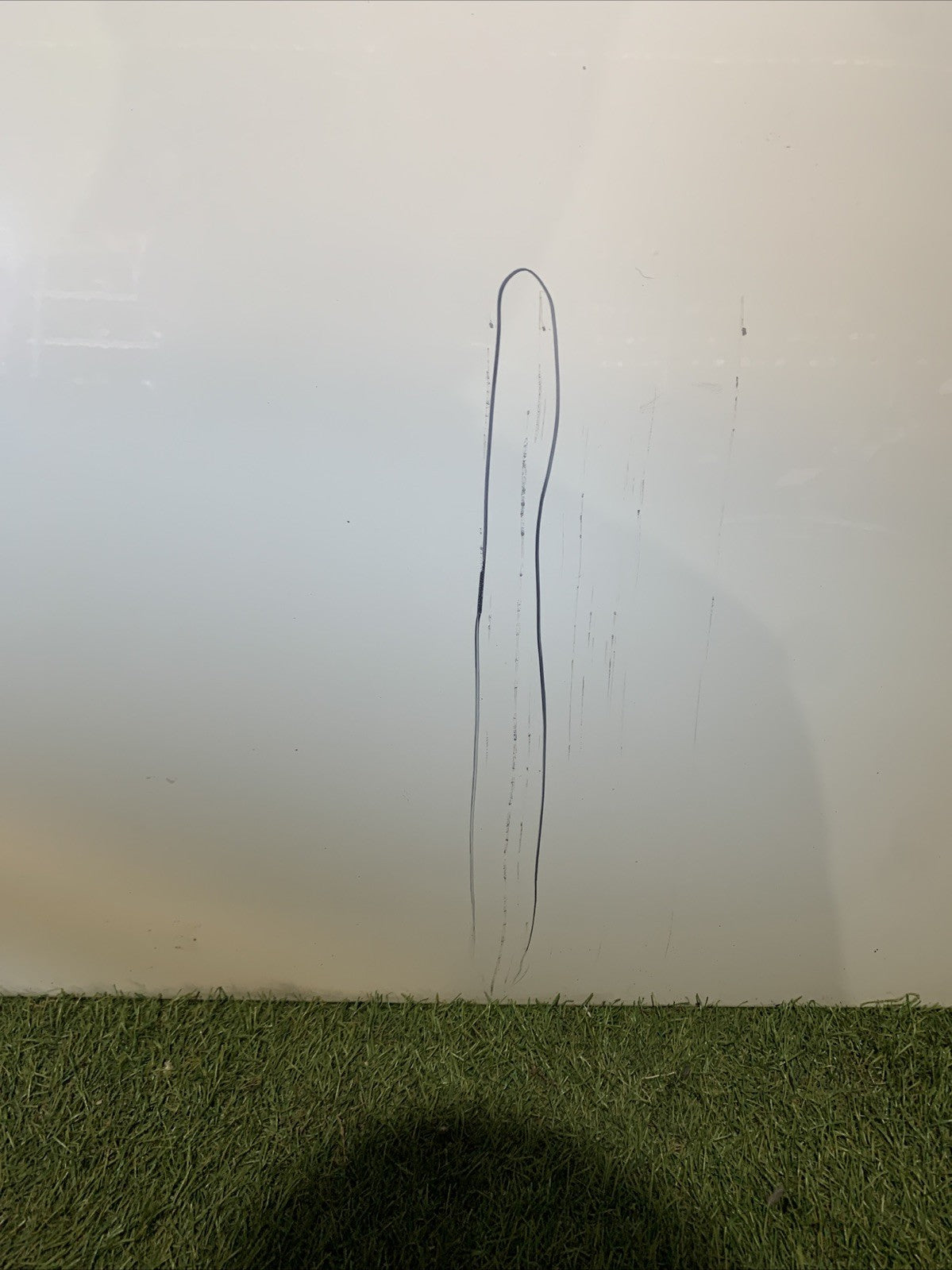 Porta portiera sportello anteriore sinistro mini one R56 2013