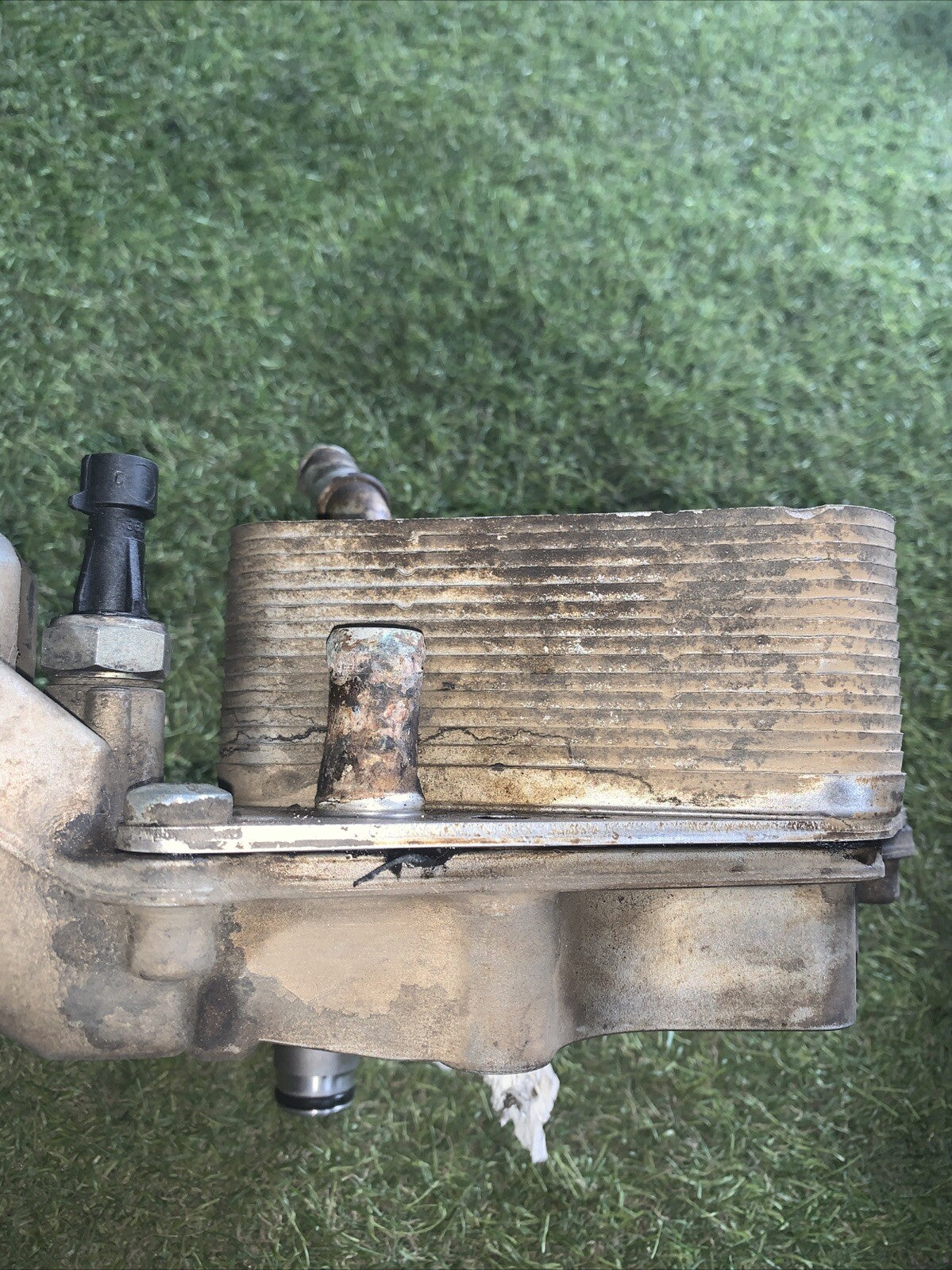 RADIATORE SCAMBIATORE OLIO MOTORE FIAT CROMA/ OPEL ZAFIRA 1.9 diesel 5989070231