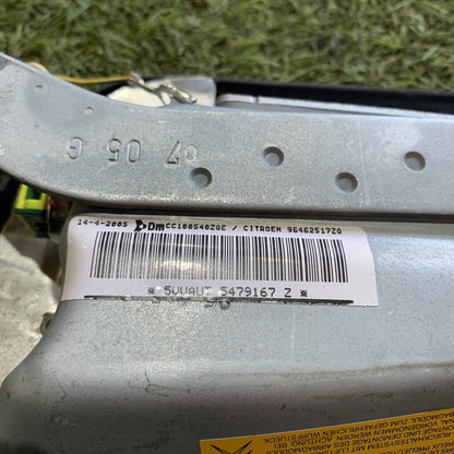 AIRBAG SEDILE ANTERIORE SX SINISTRO CITROEN C3 [02-09] 96462517ZQ