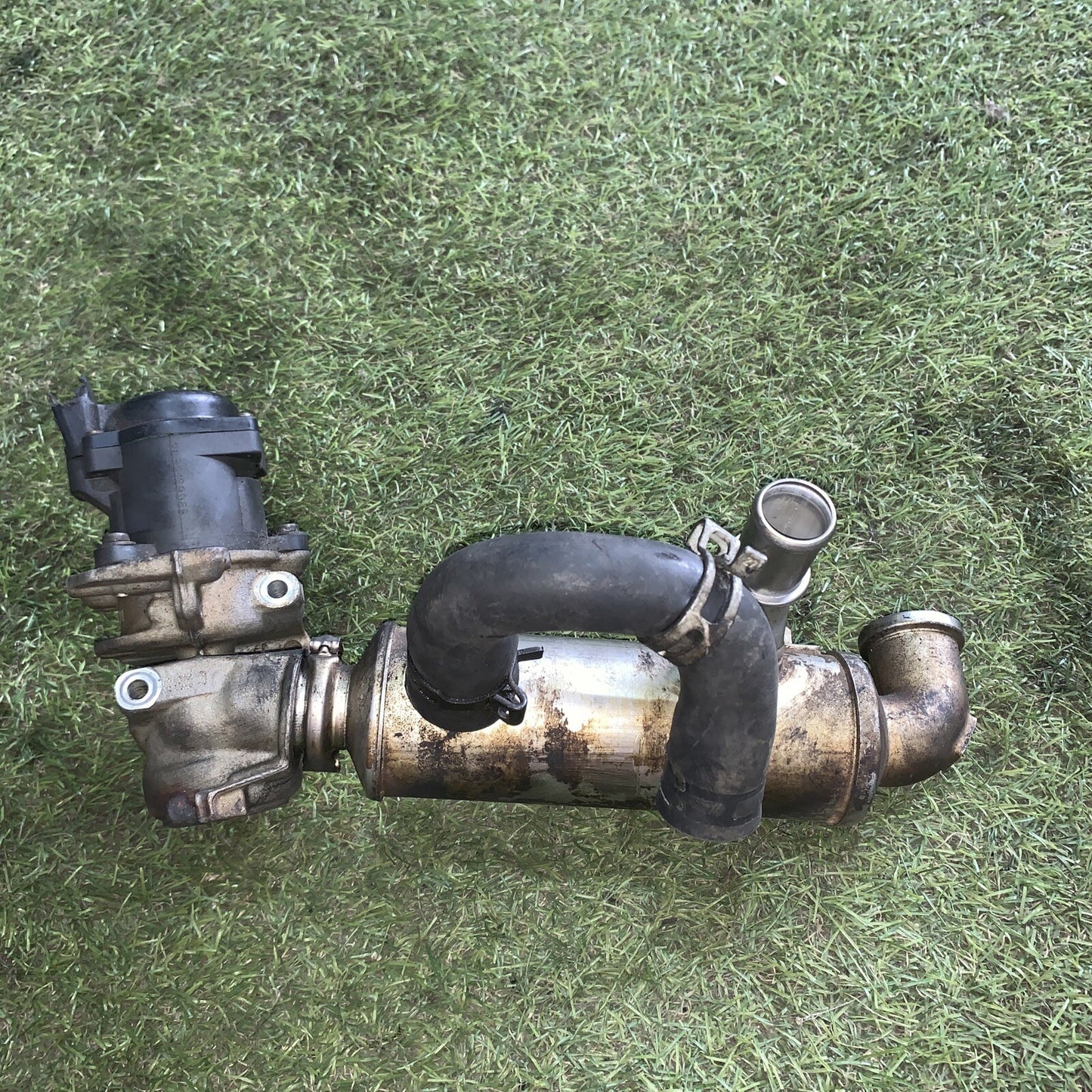 RADIATORE EGR PER PEUGEOT PARTNER