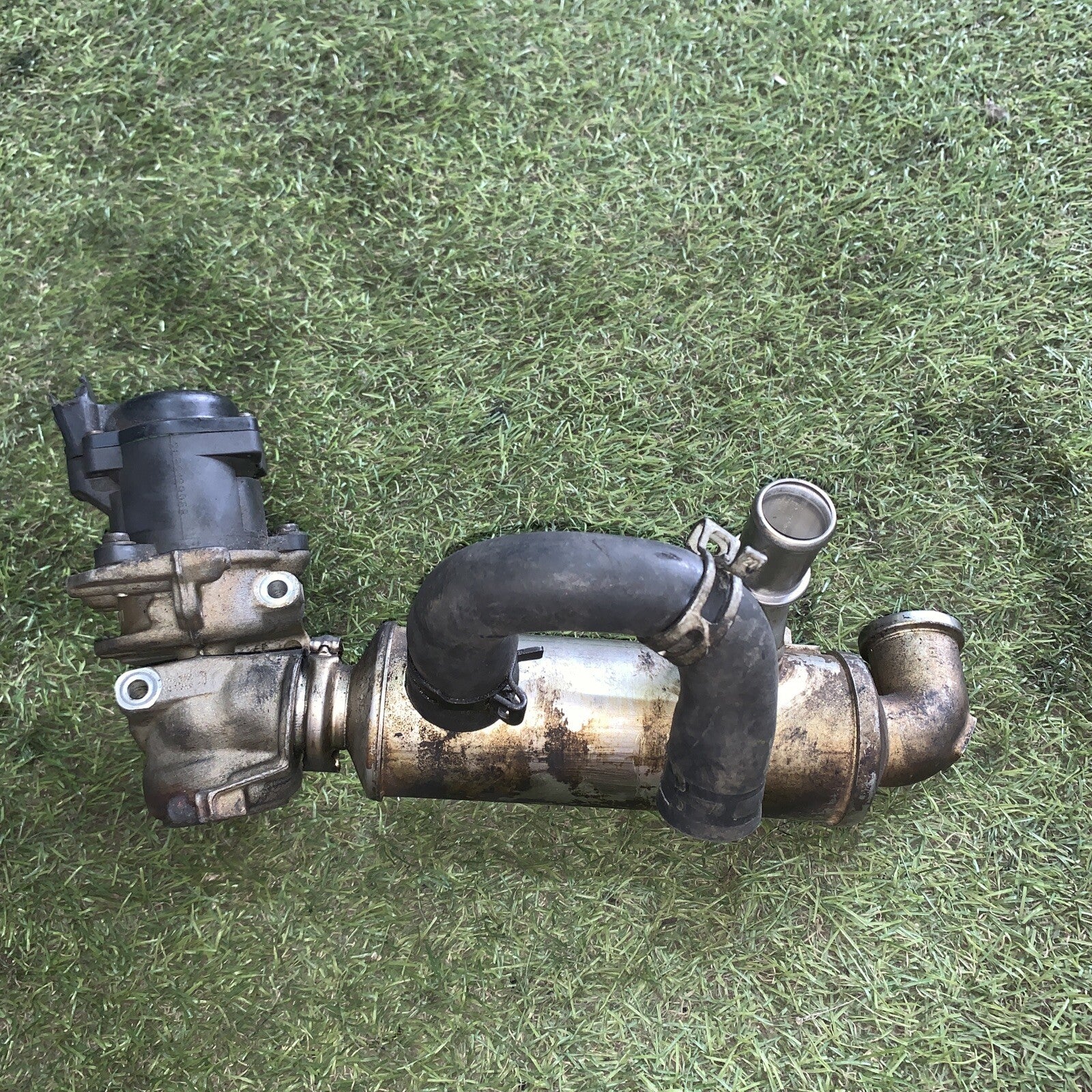 RADIATORE EGR PER PEUGEOT PARTNER