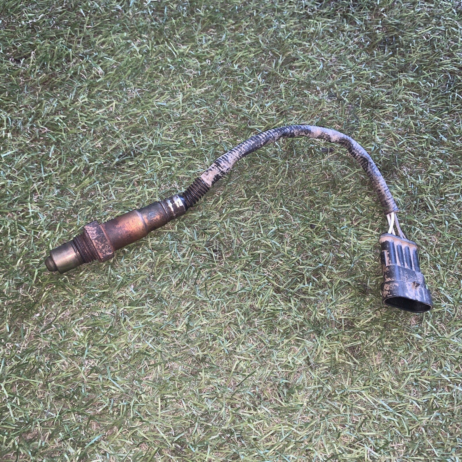 0258006206 SONDA LAMBDA FIAT PUNTO 1.2 B 5P 5M 44KW (2006) 2