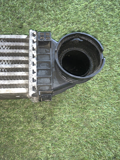 A1695000000 RADIATORE INTERCOOLER MERCEDES-BENZ CLASSE A (W169) (2)