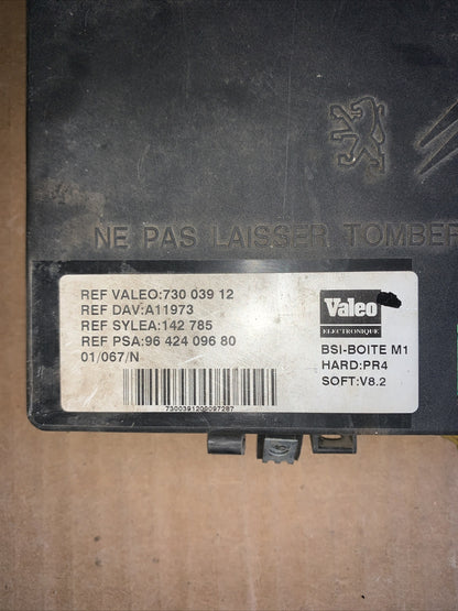 body computer citroen berlingò, ranch 73003912