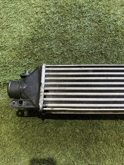 RADIATORE INTERCOOLER FIAT BRAVO 2008 1.6 DIESEL 51783791 (2)