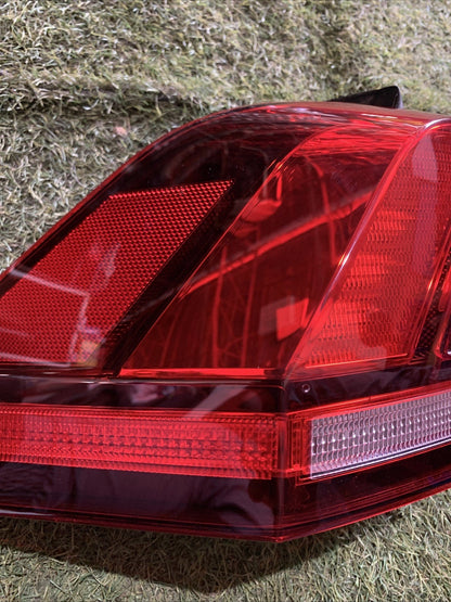 Faro Fanale Stop Posteriore Sinistro Volkswagen Tiguan 2020 5NA945095D
